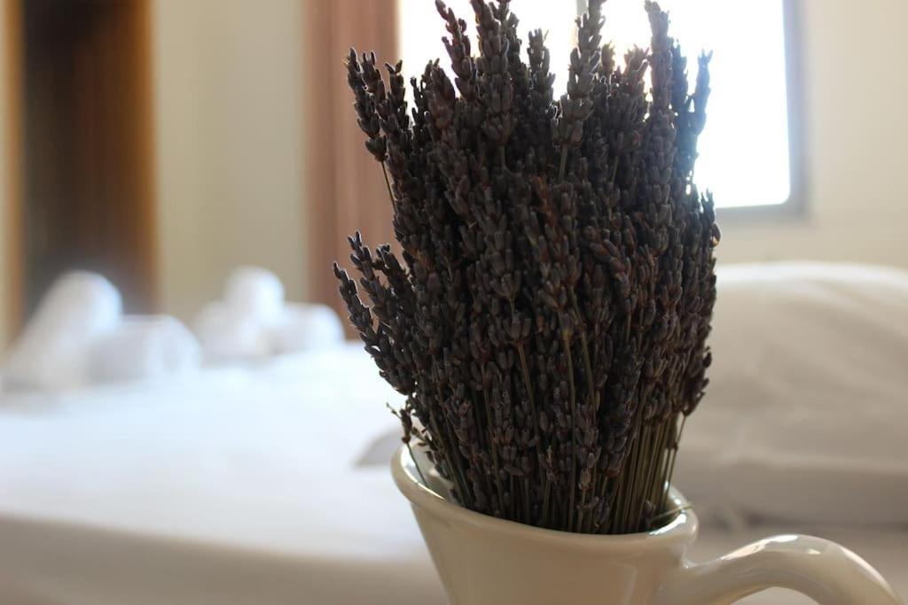 Lavandula Ring Tirana Exterior foto